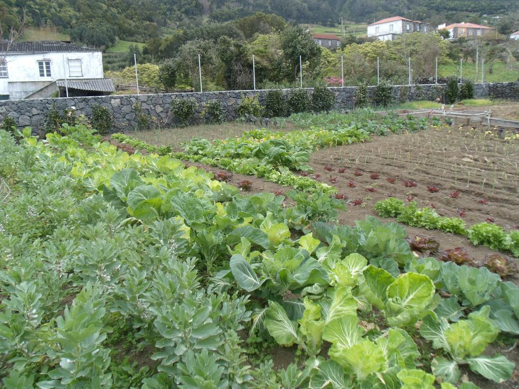 Готель Tropical Fruit Garden Велаш Екстер'єр фото