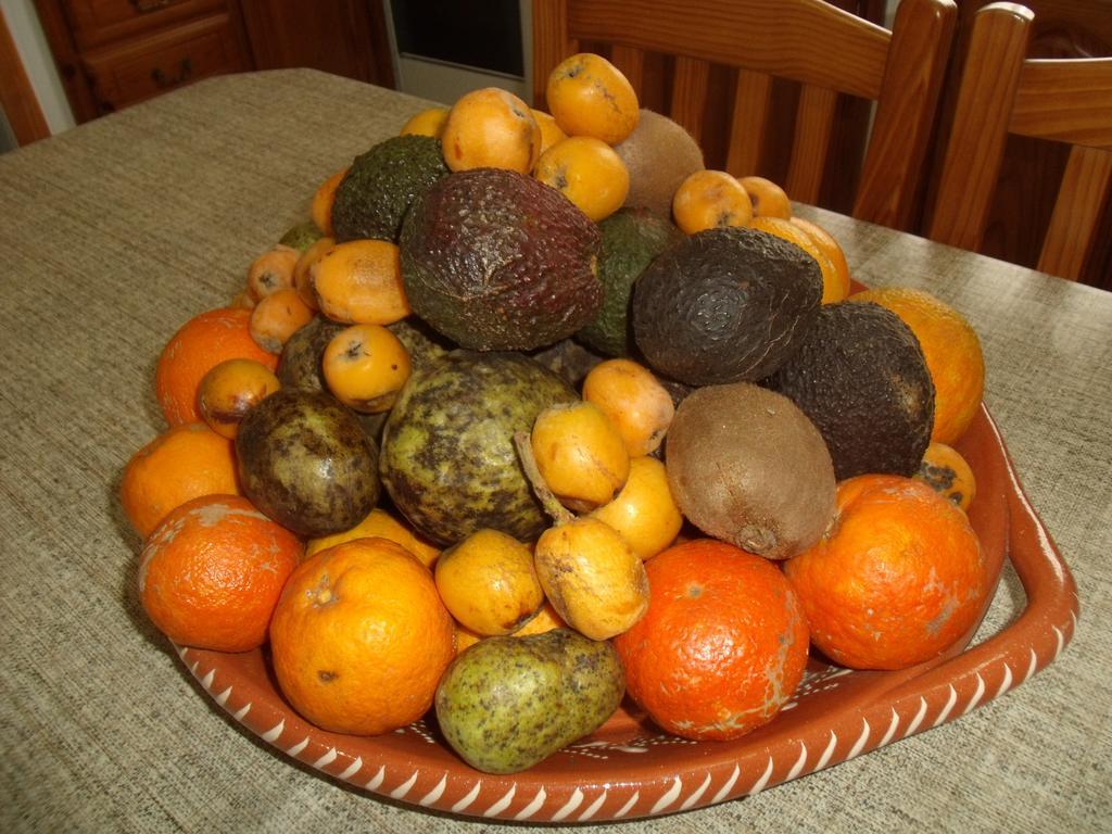 Готель Tropical Fruit Garden Велаш Екстер'єр фото